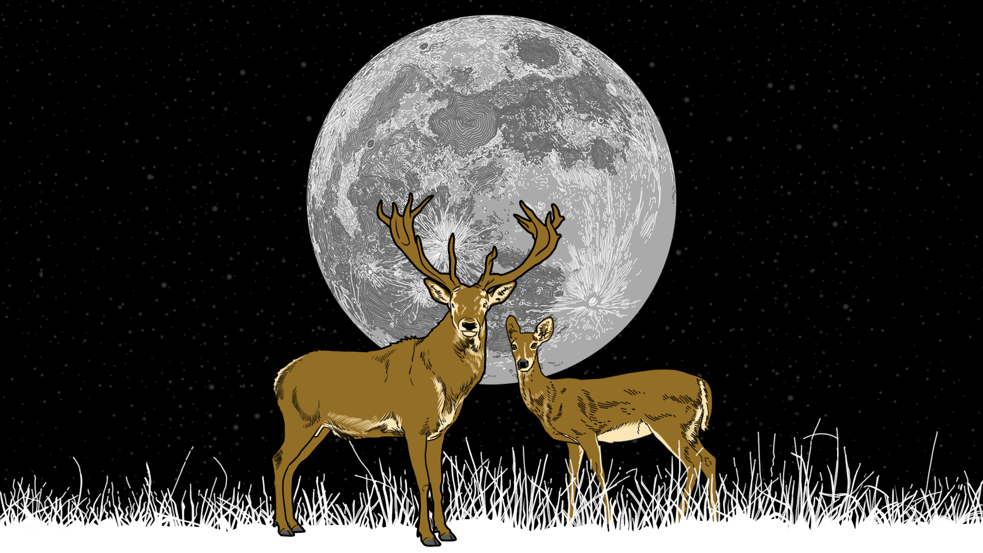 Everything You Need to Know About the Buck Moon